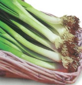 SPRING ONION PARADOX